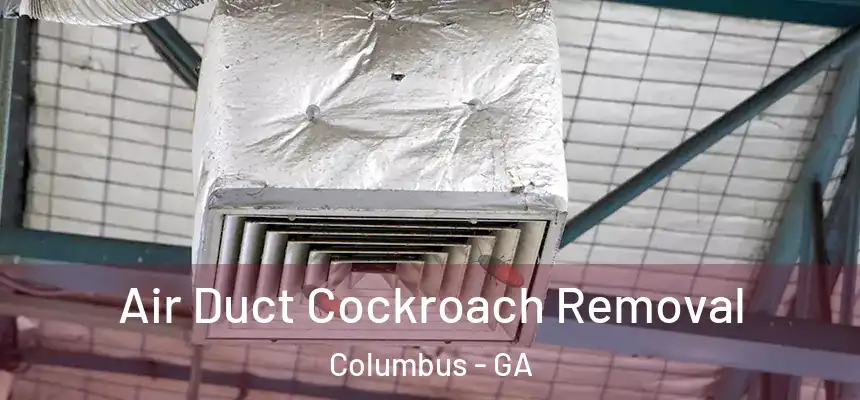 Air Duct Cockroach Removal Columbus - GA