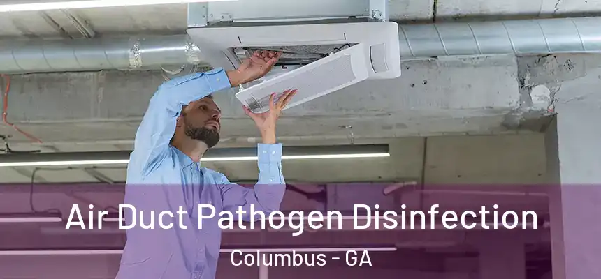 Air Duct Pathogen Disinfection Columbus - GA