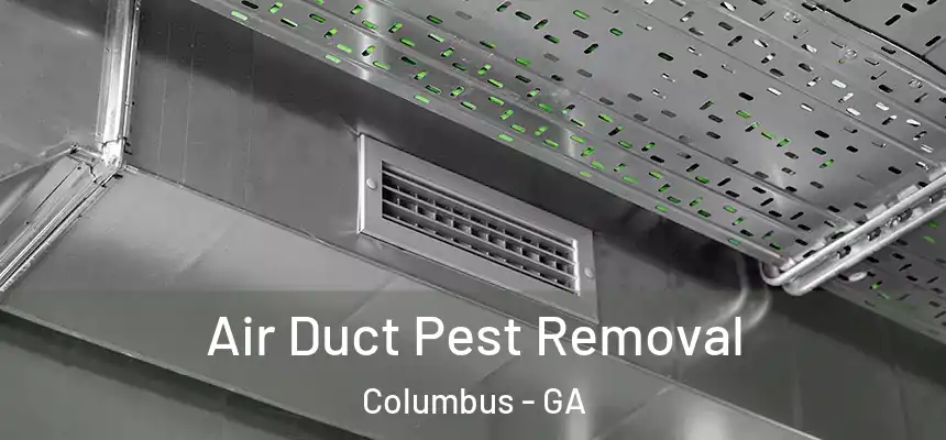 Air Duct Pest Removal Columbus - GA