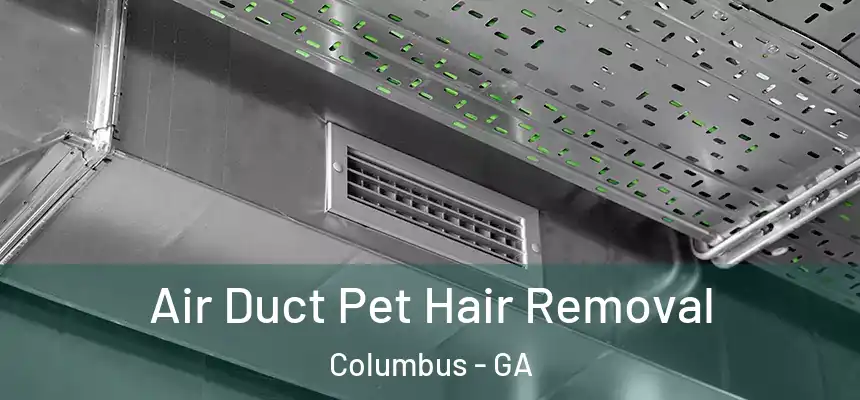 Air Duct Pet Hair Removal Columbus - GA