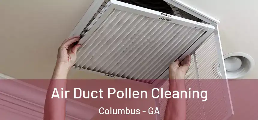 Air Duct Pollen Cleaning Columbus - GA