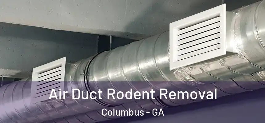 Air Duct Rodent Removal Columbus - GA