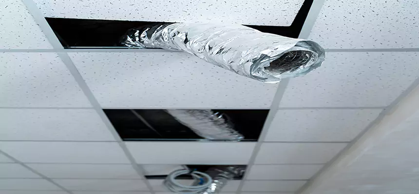 Our Air Duct Pet Hair Removal Services in Columbus, GA