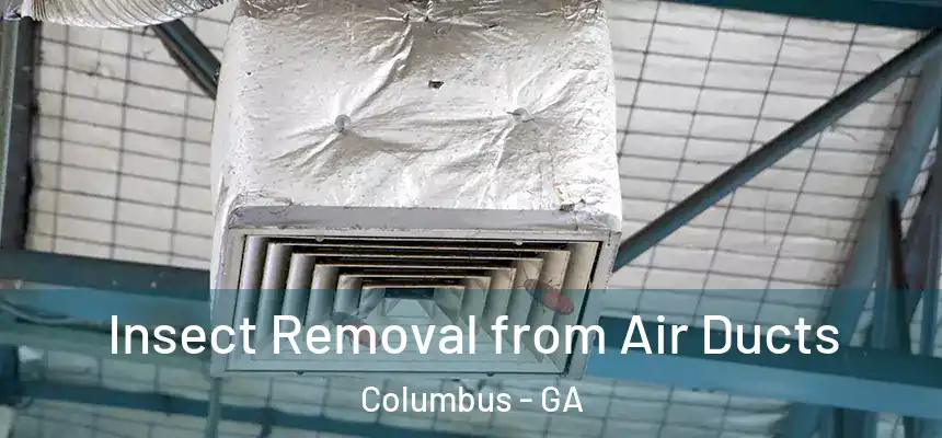 Insect Removal from Air Ducts Columbus - GA