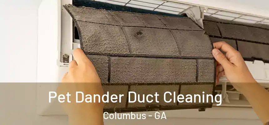 Pet Dander Duct Cleaning Columbus - GA