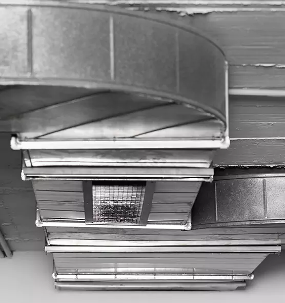 Professional Air Duct Pet Hair Removal in Columbus, GA