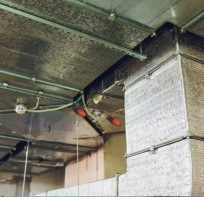 Why Homeowners & Businesses Trust Us in Columbus, GA?