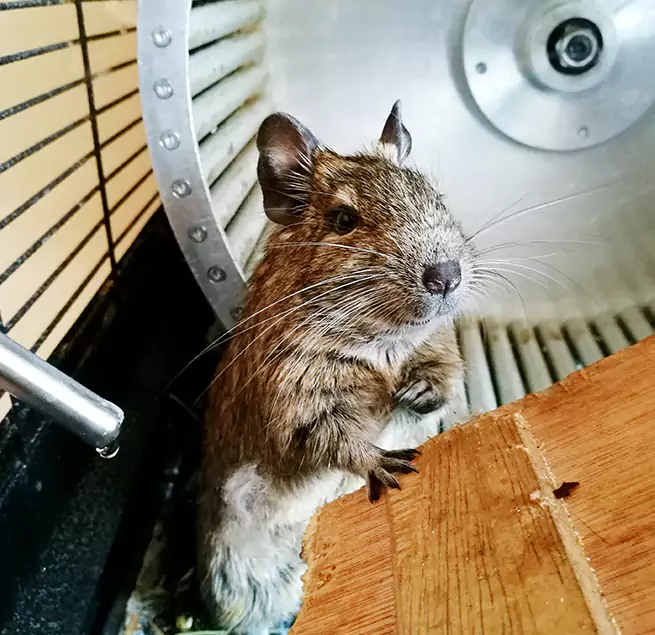 Why Homeowners & Businesses Trust Us Columbus, GA?