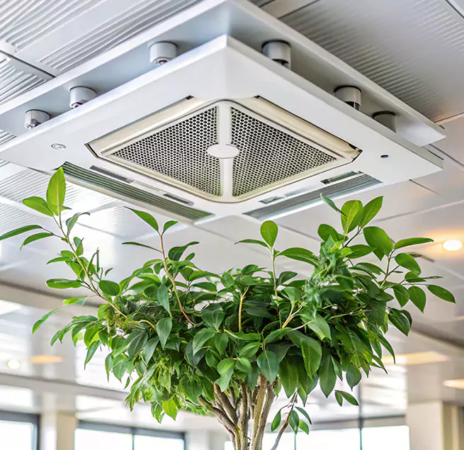 Why Homeowners & Businesses Trust Us in Columbus, GA?