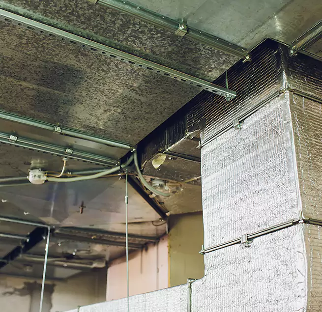 Why Homeowners & Businesses Trust Us in Columbus, GA?